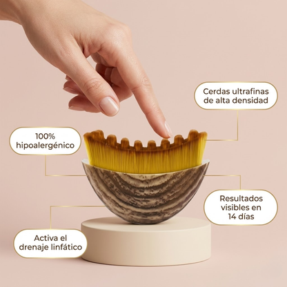 Cepillo Para Masajes de Drenaje Linfatico